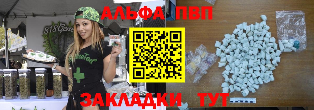 Alfa_PVP СК Лесной