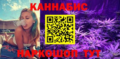 стаф Кандалакша
