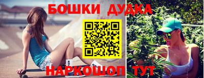 стаф Кандалакша