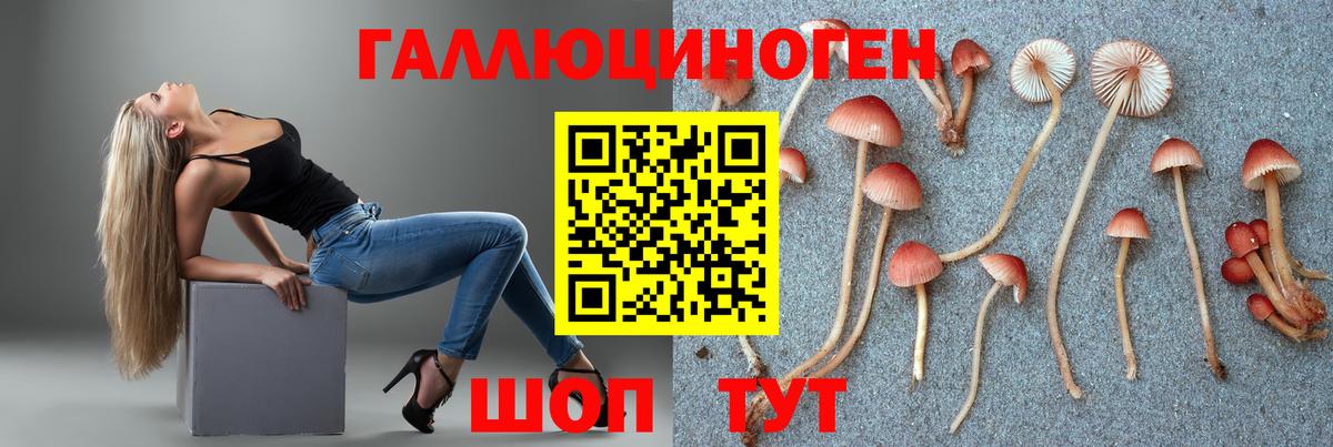 Галлюциногенные грибы Psilocybine cubensis Лесной